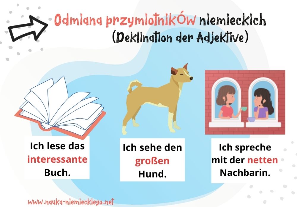 Odmiana przymiotnika w niemieckim obrazowo wyjaśniona