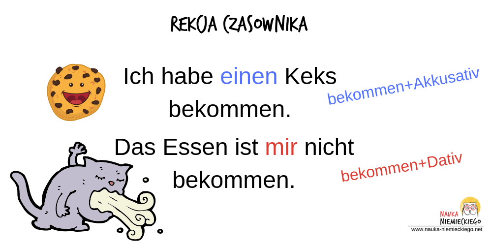 Rekcja czasownika: niemiecka gramatyka prostym językiem!