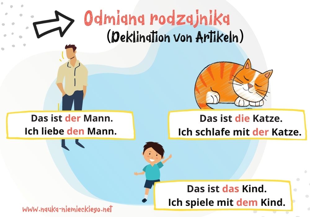Odmiana rodzajnika w niemieckim graficznie wyjaśniona